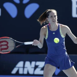 Wilson Natural Gut String Set 12,2m -Deals Tennster Store 02009000 62